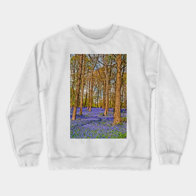 Bluebell Woods Greys Court Oxfordshire England Crewneck Sweatshirt by AndyEvansPhotos